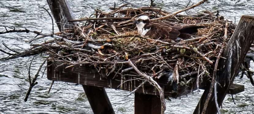 Helena to West&nbsp;Yellowstone